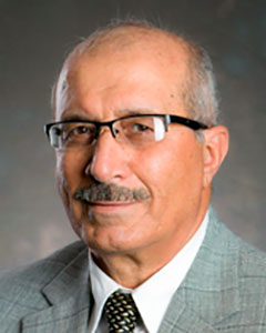 Mahmoud Haddad