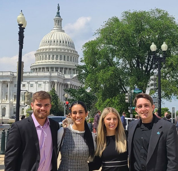 Sycamores in Washington D.C.